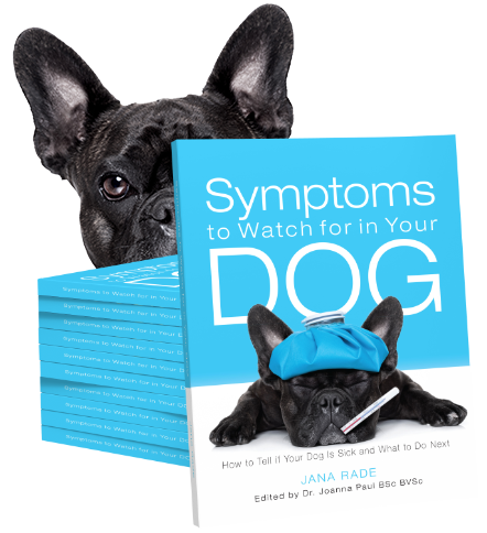 Share Your Story to Win Symptoms to Watch for in Your Dog