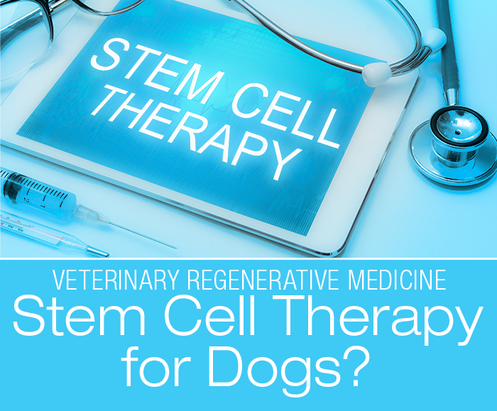 Veterinary Regenerative Medicine