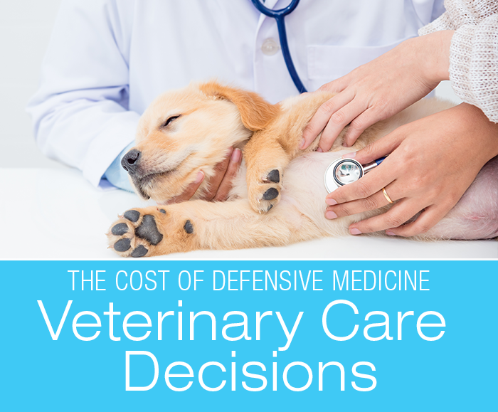 Veterinary Care Decisions: The Other Side Of The Coin - The Cost Of Defensive Medicine