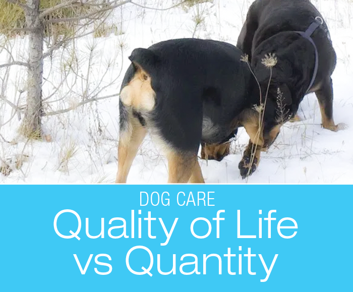 Purpose of Differential Diagnoses: Rant About Quality Of Life Versus Quantity, And Differential Diagnoses