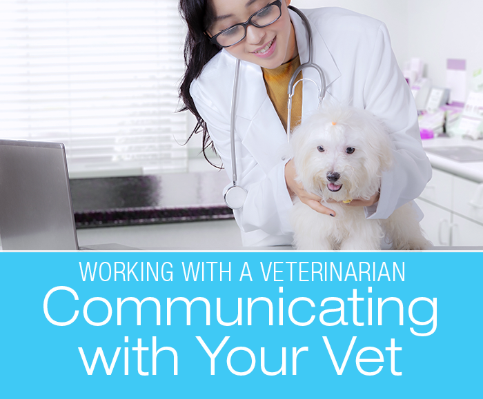 Communicating with Your Veterinarian: Emailing With Your Vet And The Miracle Of Web-based Medical Records