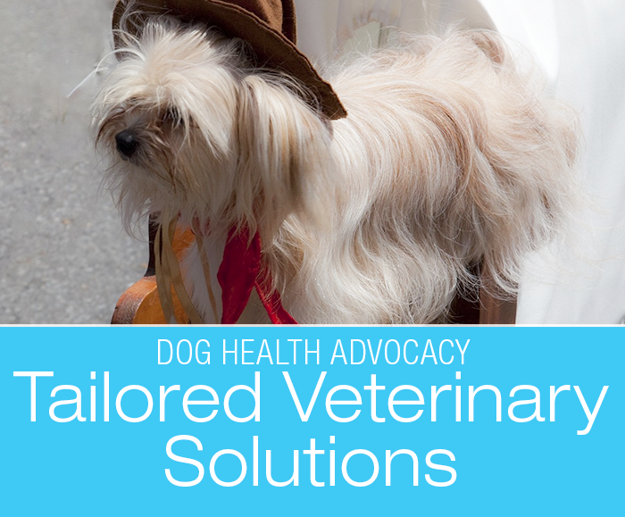 Tailored Veterinary Solutions: Thinking Outside The Box