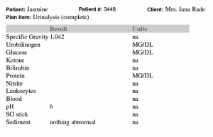 Example urinalysis results Veterinary urinalysis :example urinalysis results