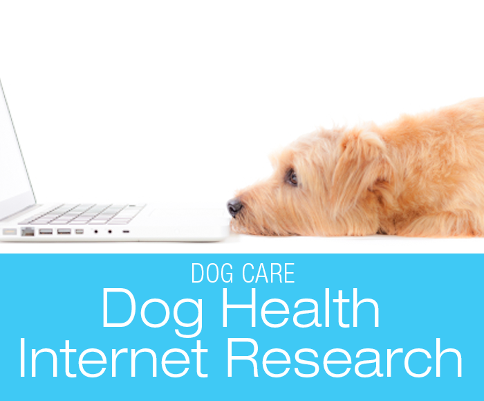 Dog Health Internet Research: Should You Curb Your Internet Research Enthusiasm?