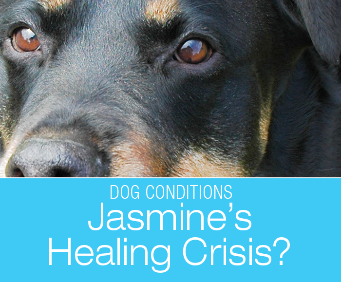 What Is A Healing Crisis: First Time For Everything—Is That What This Was?
