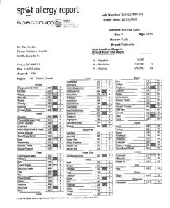 Jasmine's initial allergy blood test results