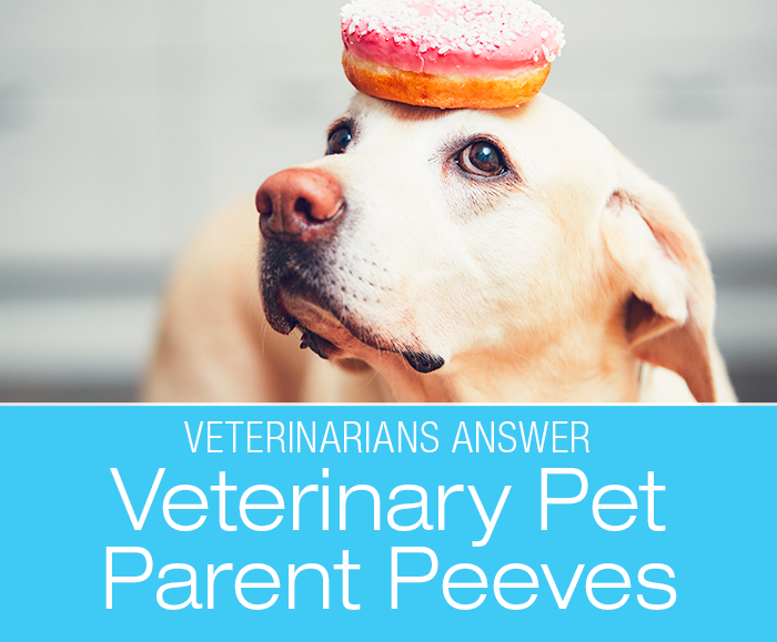 Veterinarians Share Their Peeves: What Is Veterinarians' Biggest Pet Parent Peeve?