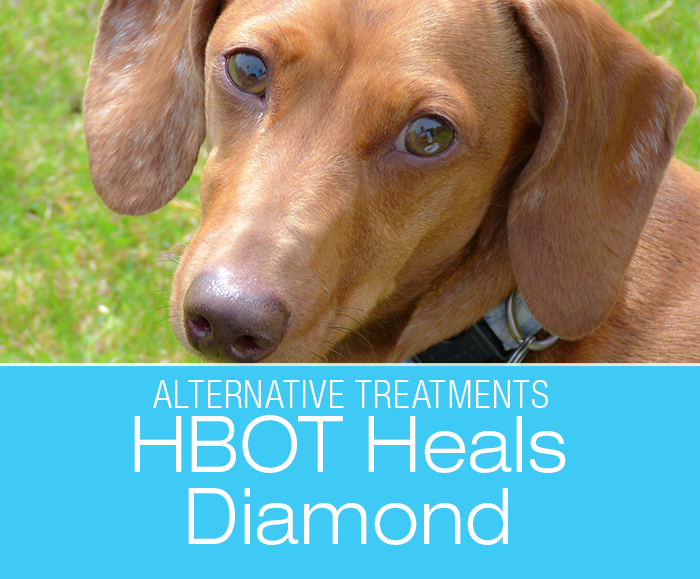 HBOT Treats Spinal Issue: Hyperbaric Oxygen Therapy Heals Diamond