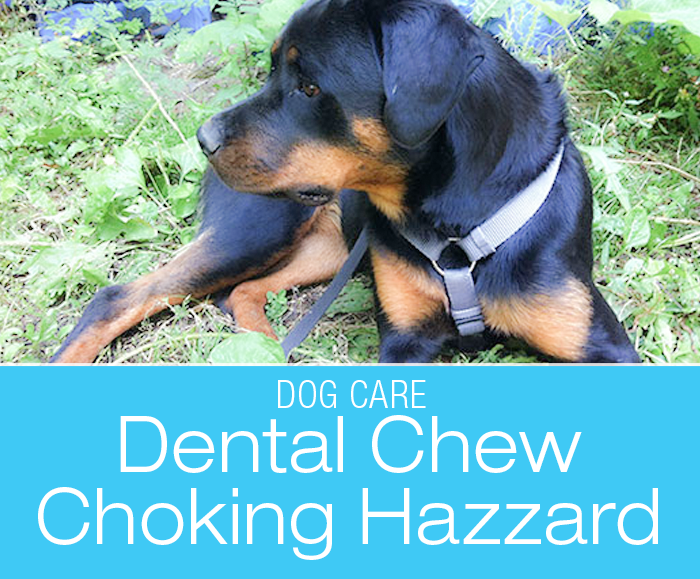 Beware of Choking Hazards: C.E.T. Oral Hygiene Chews For Dogs CAN Be A Choking Hazard
