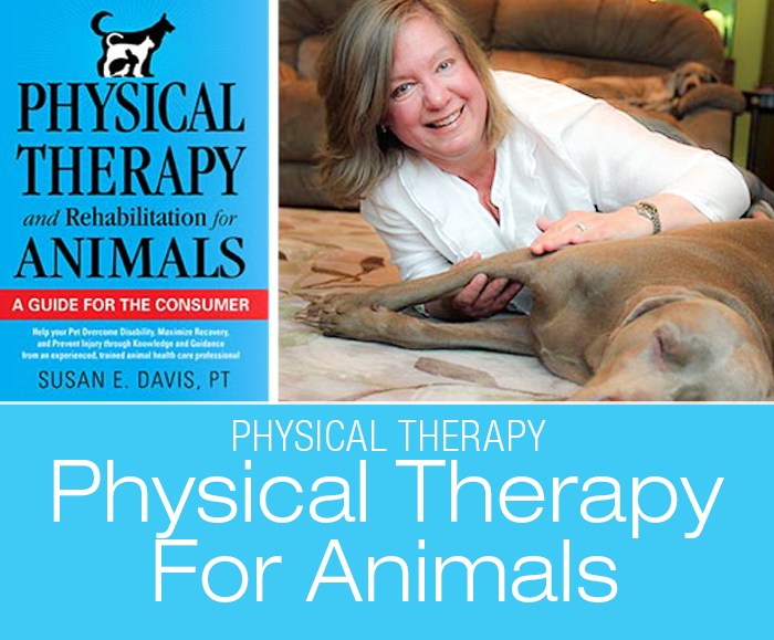 PT for Animals: My Foreword To "Physical Therapy And Rehabilitation For Animals: A Guide For The Consumer"