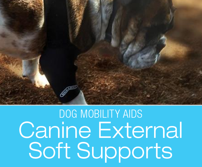 Canine Rehabilitation Support Devices: Soft Supports and Wraps