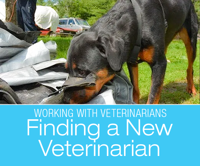 Finding a New Veterinarian: We Have Picked A Vet At Our New Location