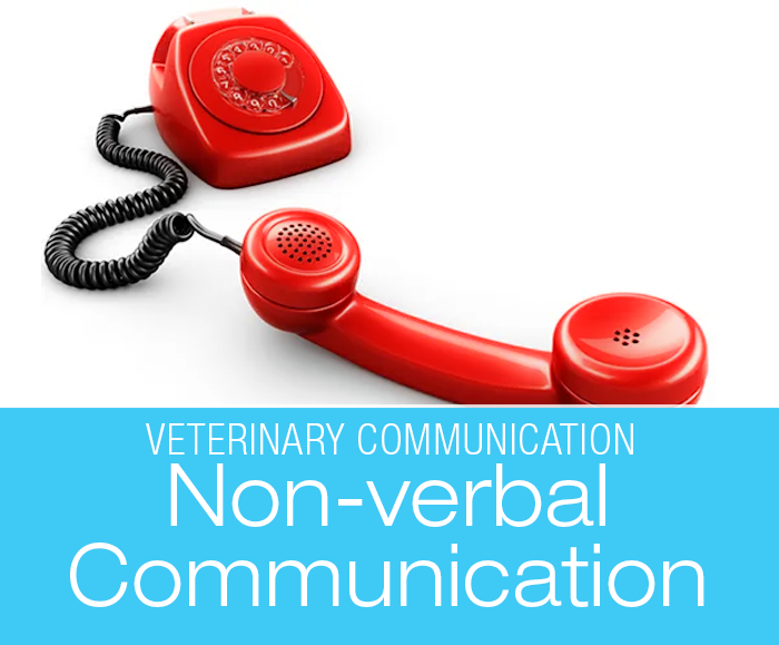 Veterinary Communication: Dead Giveaway—Your Vet's Tone of Voice and the News that Is Coming