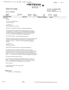 Mast Cell Tumor Diagnosis: JD's Biopsy Results Revealed Mast Cell Tumor—You Don't Know What the Bump Is Unless You Look at the Cells