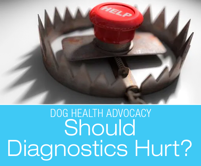 Should Diagnostics Hurt? Invasive diagnostics and painful examinations:—When What You Should Do Might Not Be What You Should Do for Your Dog