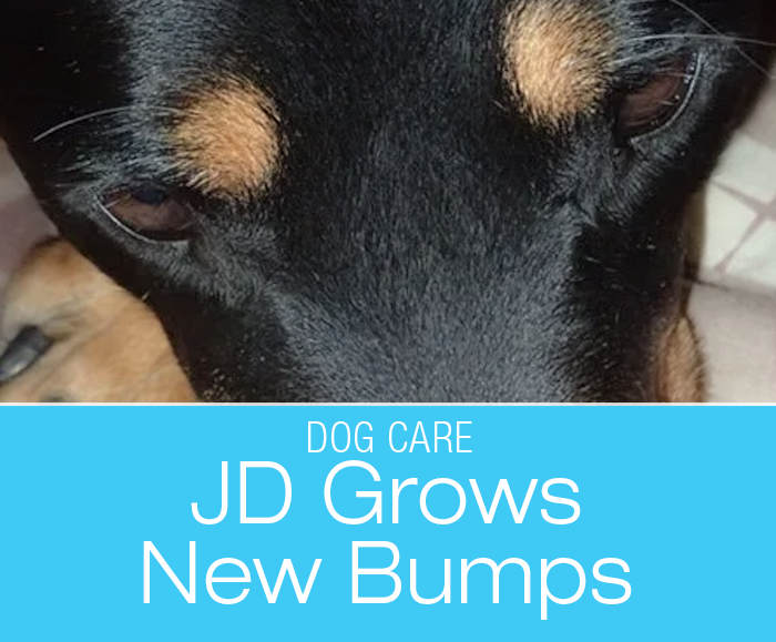 Don’t Wait to Aspirate: JD Grows New Bumps