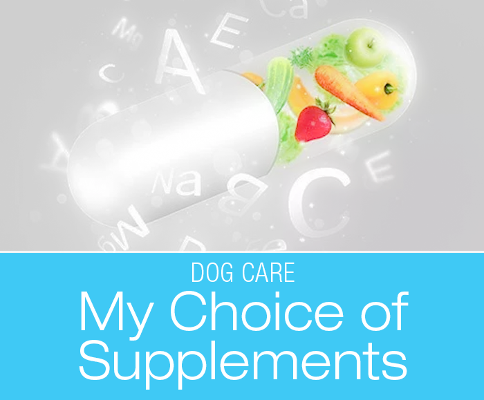 My Choice of Canine Supplements: Cookie's Musculoskeletal Challenges—What Supplements Am I Using?