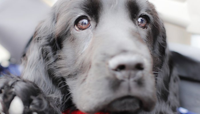 Is Difficulty Breathing an Emergency?