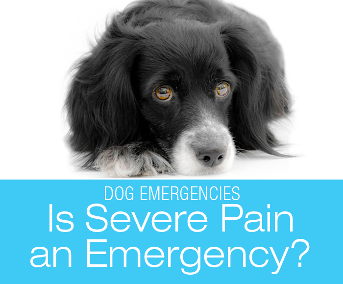 Is Severe Pain an Emergency?