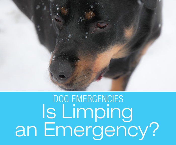 Is Limping an Emergency?