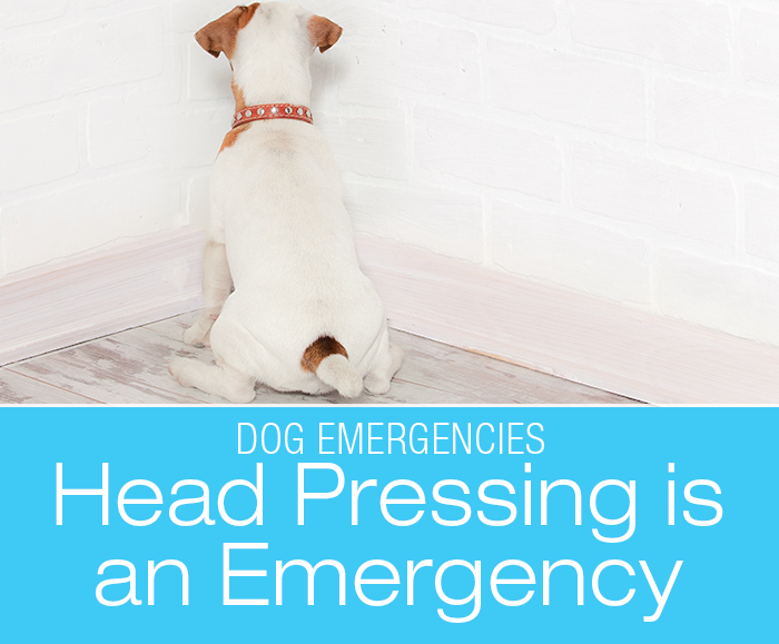 Is Head Pressing an Emergency?