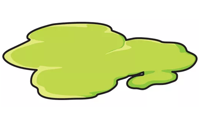 Green Vomit in Dogs: What Made My Dog's Puke Green?