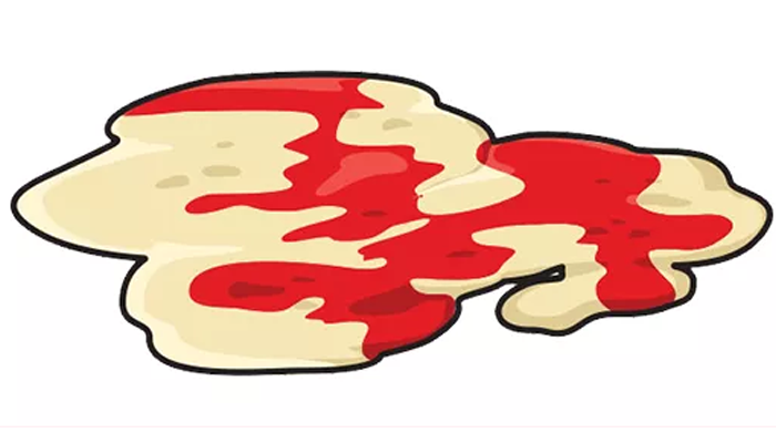 Blood in Dog Vomit: Why Is There Blood in My Dog's Puke?