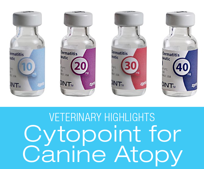 New Treatment for Canine Atopy: Cytopoint--Veterinary Highlights