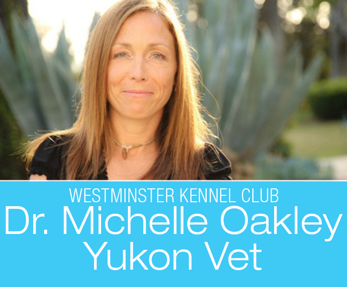 Dr. Michelle Oakley: Yukon Vet Tackles Westminster with Ease and Grace