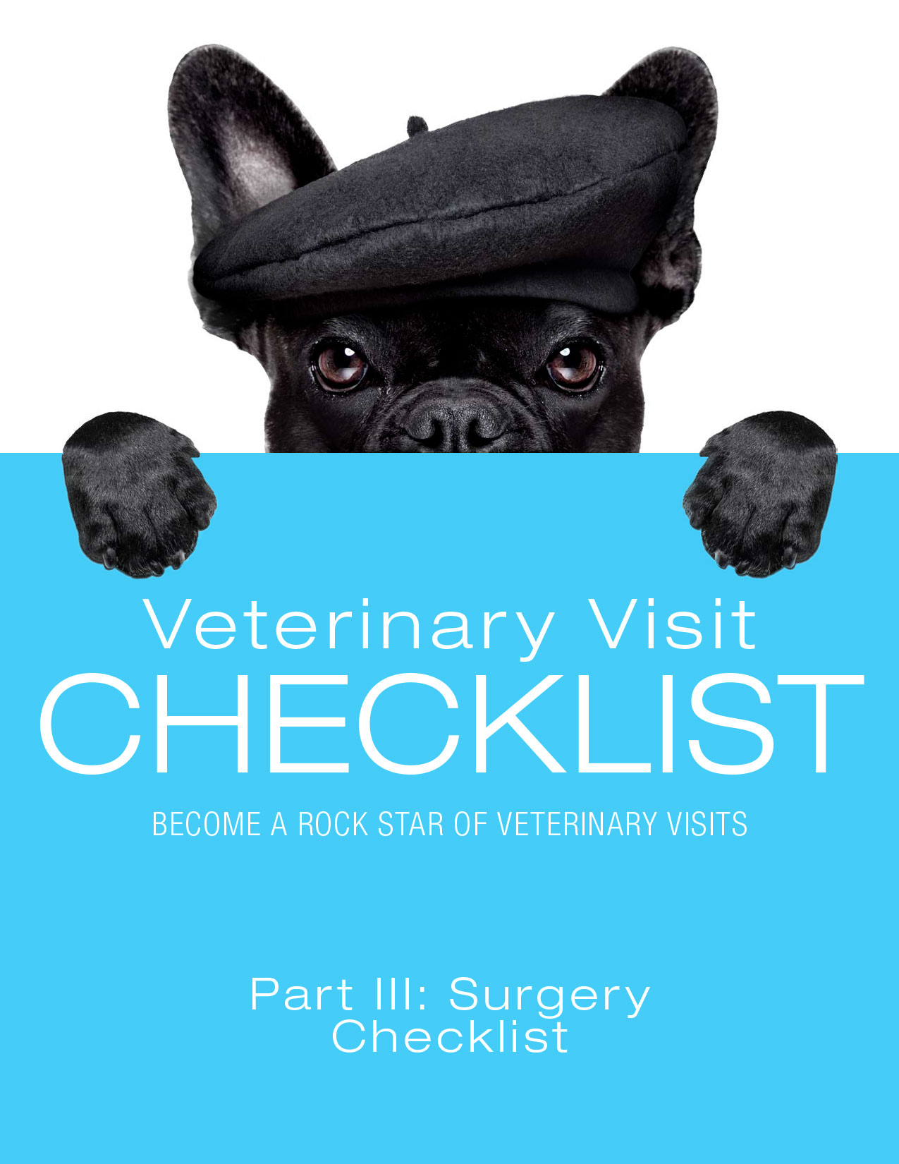 Objective Dvm Checklist Questions to Ask Your Veterinarian: Free Veterinary Visit Checklists