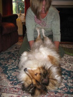 Canine Intervertebral Disc Disease (IVDD): Manual spinal traction