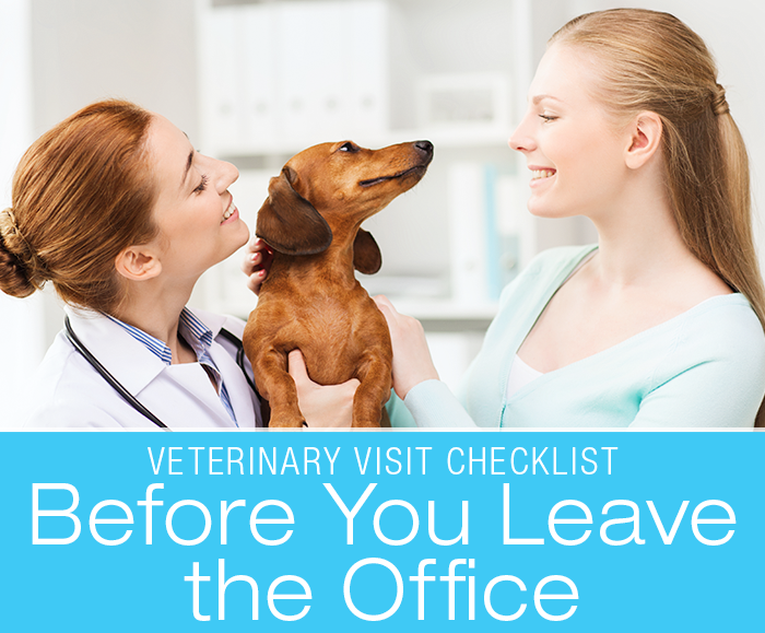 Veterinary Doorknob Questions: Before You Leave the Office. Are there things you forgot to ask?