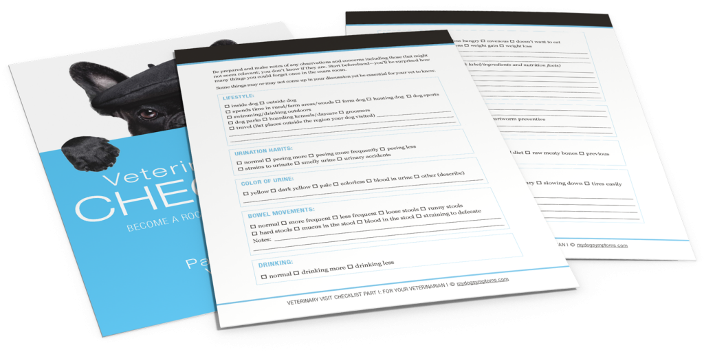 Free Veterinary Visits Checklists: Do You Know What To Ask Your Veterinarian?
