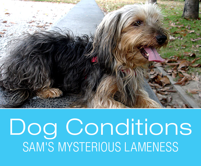 Sam's Mysterious Lameness