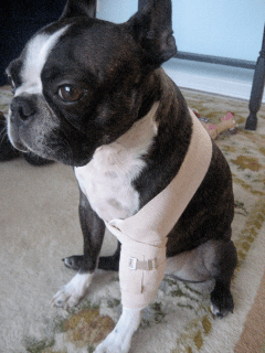 Shoulder and elbow home wrap