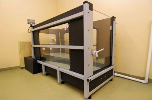 Canine Degenerative Myelopathy (DM): Underwater Treadmill