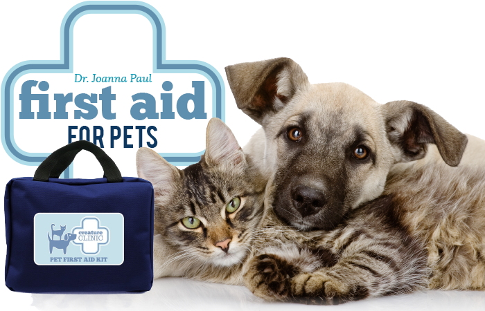 Creature Clinic Pet First Aid Kit