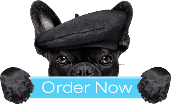 Symptoms to Watch for in Your Dog