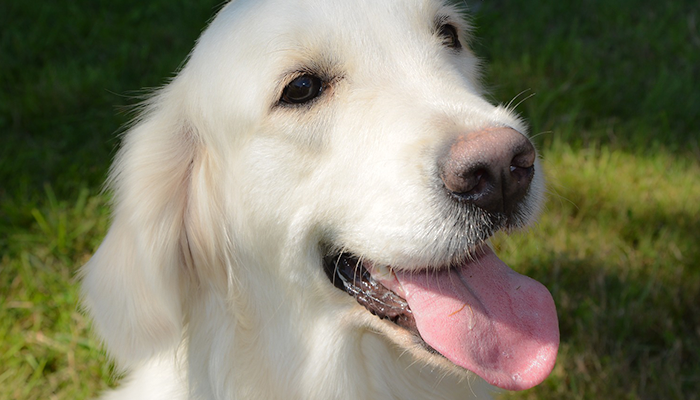 Antibiotic-Resistant Hot Spot: Max's Story