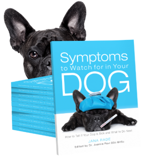 Owner-to-Owner Dog Health Series: Symptoms to Watch for in Your Dog