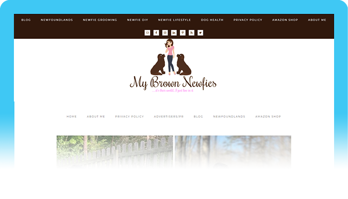Best Dog Blogs of 2020:  My Brown Newfies