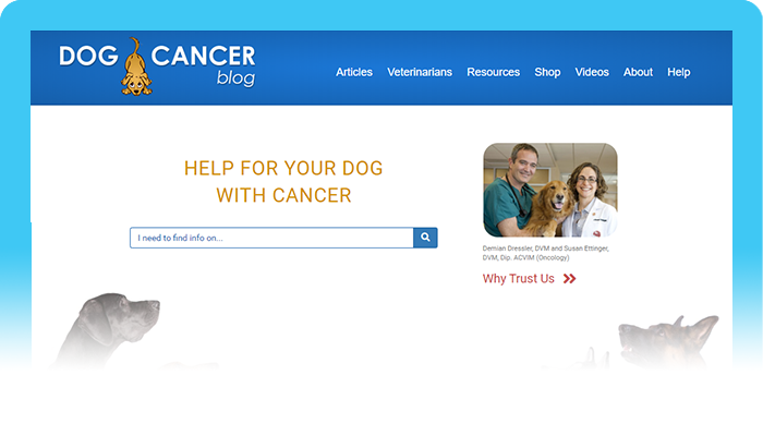 Best Dog Cancer Blog: Dog Cancer Blog
