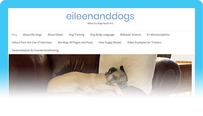 Best Dog Blogs of 2020:  Eileen and Dogs