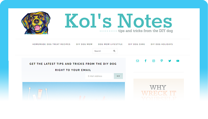 Best DIY Dog Blog: Kol's Notes
