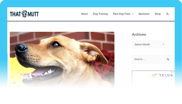 Dog Blogs to Follow:  The Other End of the Leash