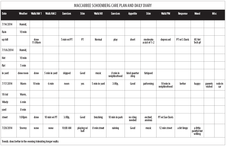 Maccabbee Schoenberg Care Plan and Daily Diary