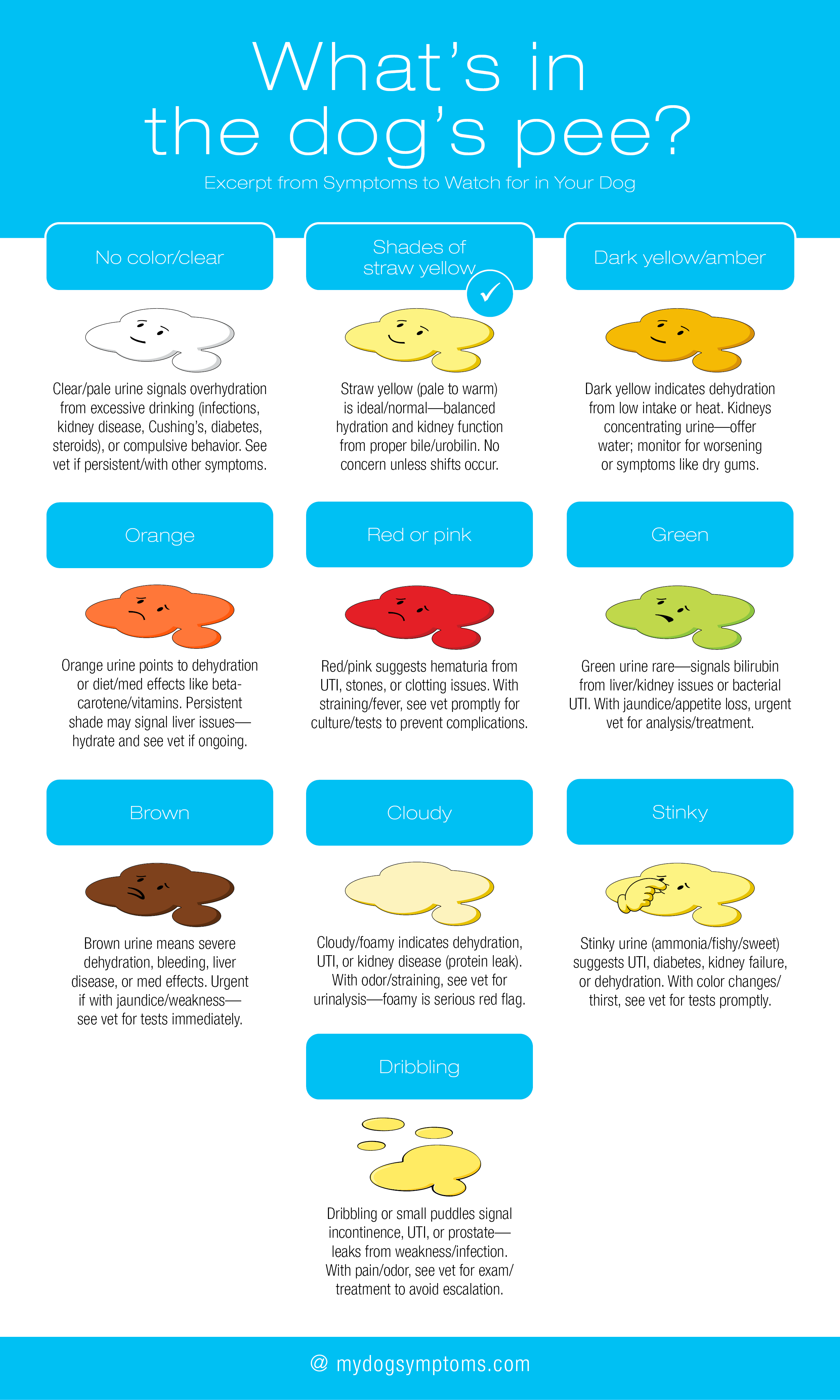 Examine your dog's pee infographic