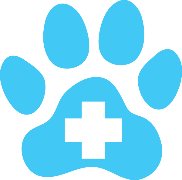 Canine Hematuria: Blood in Urine. When Is It an Emergency?