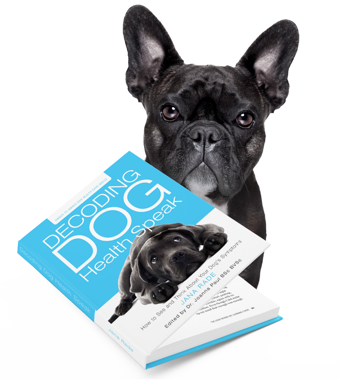 A dog with the book Owner-to-Owner Dog Health Series: Decoding Dog Health Speak