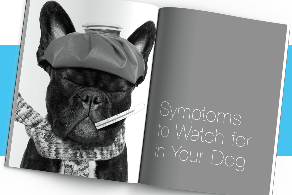 Section opener spread from Symptoms to Watch for in Your Dog, Owner-to-Owner Dog Health Series